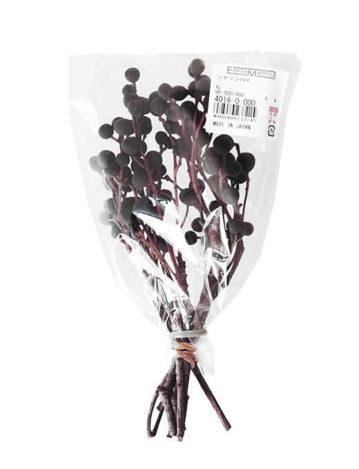 大地農園・シャリンバイ・N | プリザーブドフラワーKnext