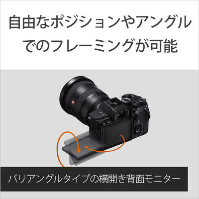 ソニー SONY ミラーレス一眼カメラ α7SIII ボディ ILCE-7SM3 の通販