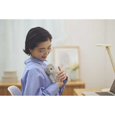 カシオ CASIO 手のりサイズ AIペット(コミュニケーションロボット