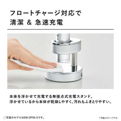 パナソニック Panasonic 電動歯ブラシ Doltz （ドルツ） グレー [振動