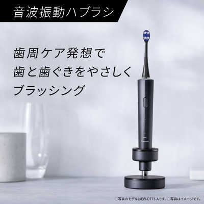 パナソニック Panasonic 電動歯ブラシ Doltz ドルツ [ 音波振動式
