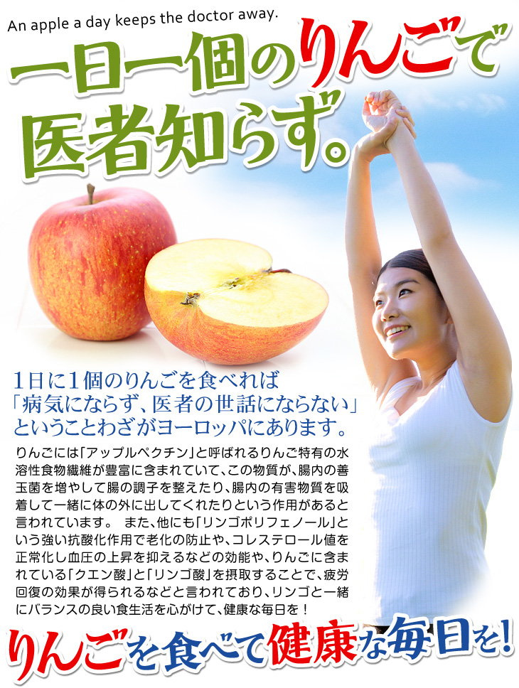 国華園オンラインショップ / りんご 3kg 糖度13度以上 高糖度サンふじ