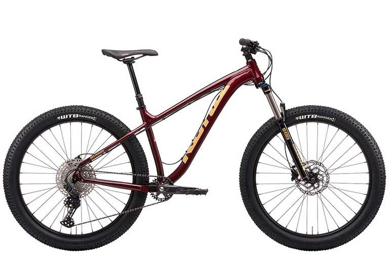 2021 KONA BIKES | BIG HONZO DL