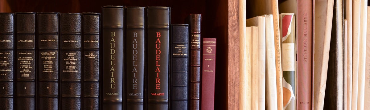 真 創世記 3部作 地獄編・天上編・黙示編 ｜ 高橋佳子著 ｜ NON BOOK