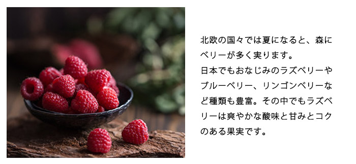 心地よい暮らしを彩る隠れた名品_vol.7通販ならコスタボダ公式通販