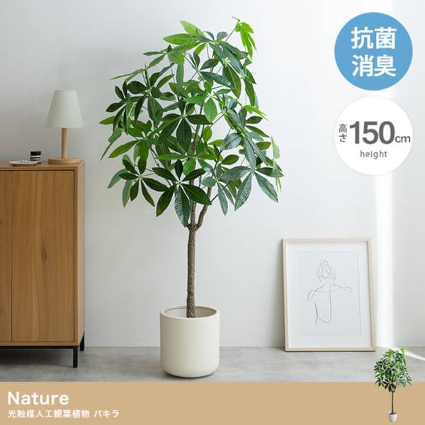 フェイクグリーン 高さ150cm 大型 光触媒 人工観葉植物 パキラ Nature
