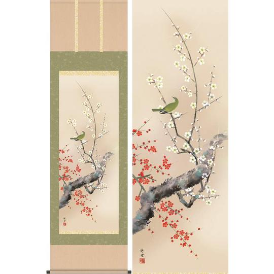掛け軸 紅白梅に鶯 (田村竹世) 送料無料 掛軸 商品詳細 掛け軸の販売