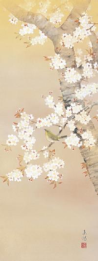 河村東陽 桜に小禽 尺五立 （春）！ 春 - 掛け軸（掛軸）販売通販なら