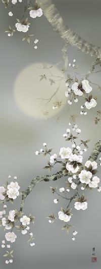 掛軸 秋峰 夜桜 共箱 春 月 満月 花 桜 5-14 掛軸 秋峰 夜桜 共箱 春