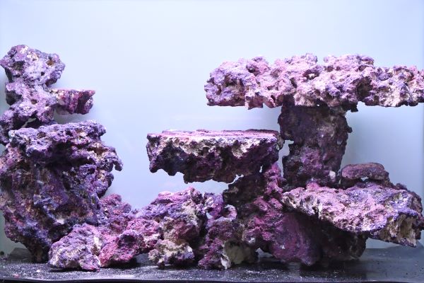 人工ライブロック RR73 アク抜き済み安心塗料使用 人工ライブロック