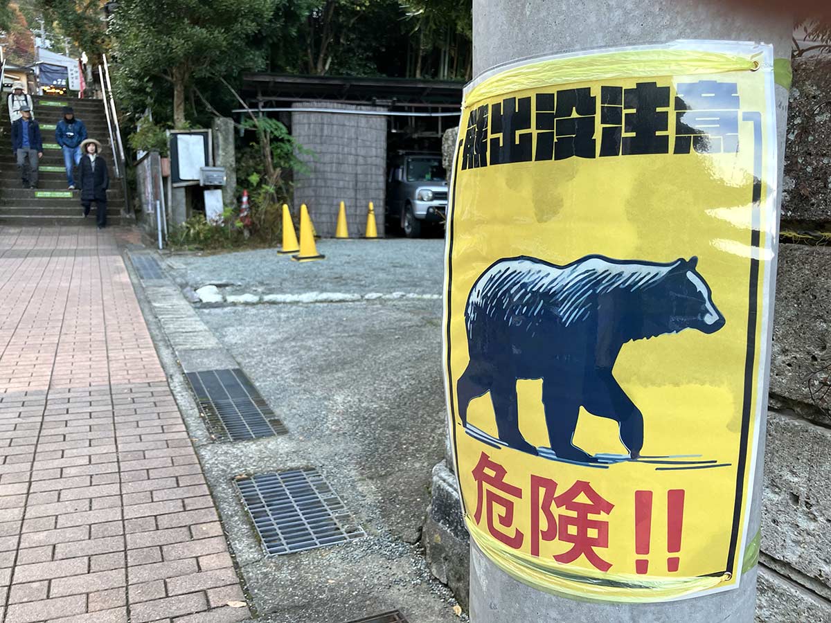 スプレーや花火でクマ撃退を 紅葉シーズン迎え丹沢山地の観光地で対策