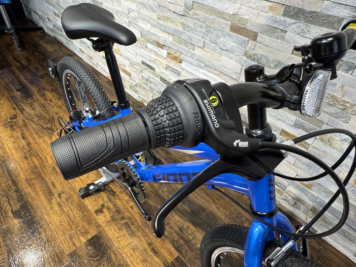 2025 GIANT（ジャイアント） XTC Jr 20 Lite | 自転車専門店カネコ