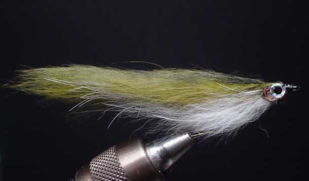 杉坂研治のホームページ