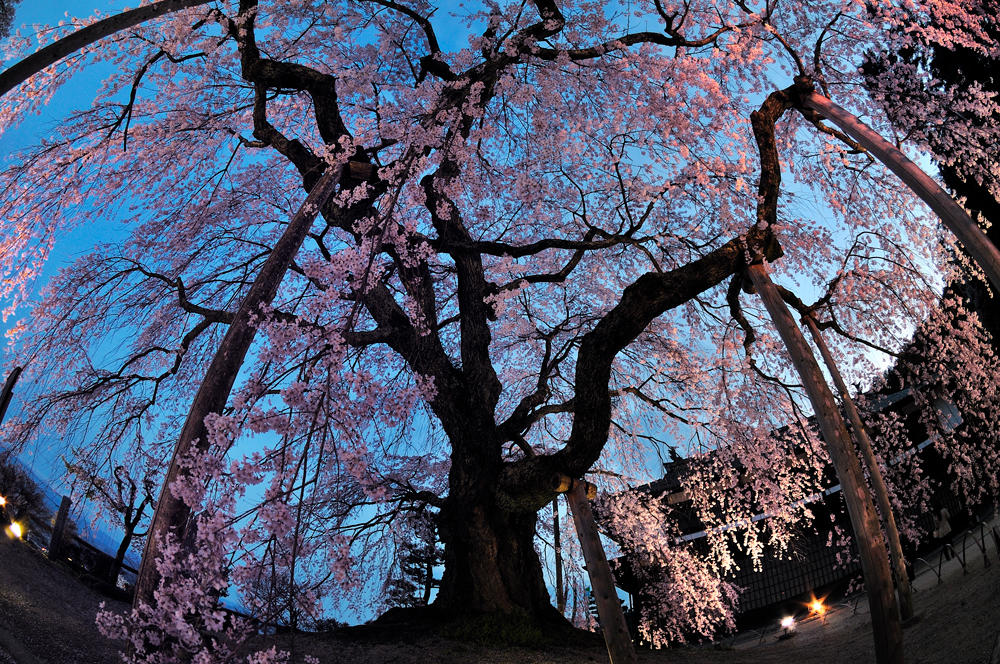 AT-X 107 DX Fisheye | Tokina | ケンコー・トキナー