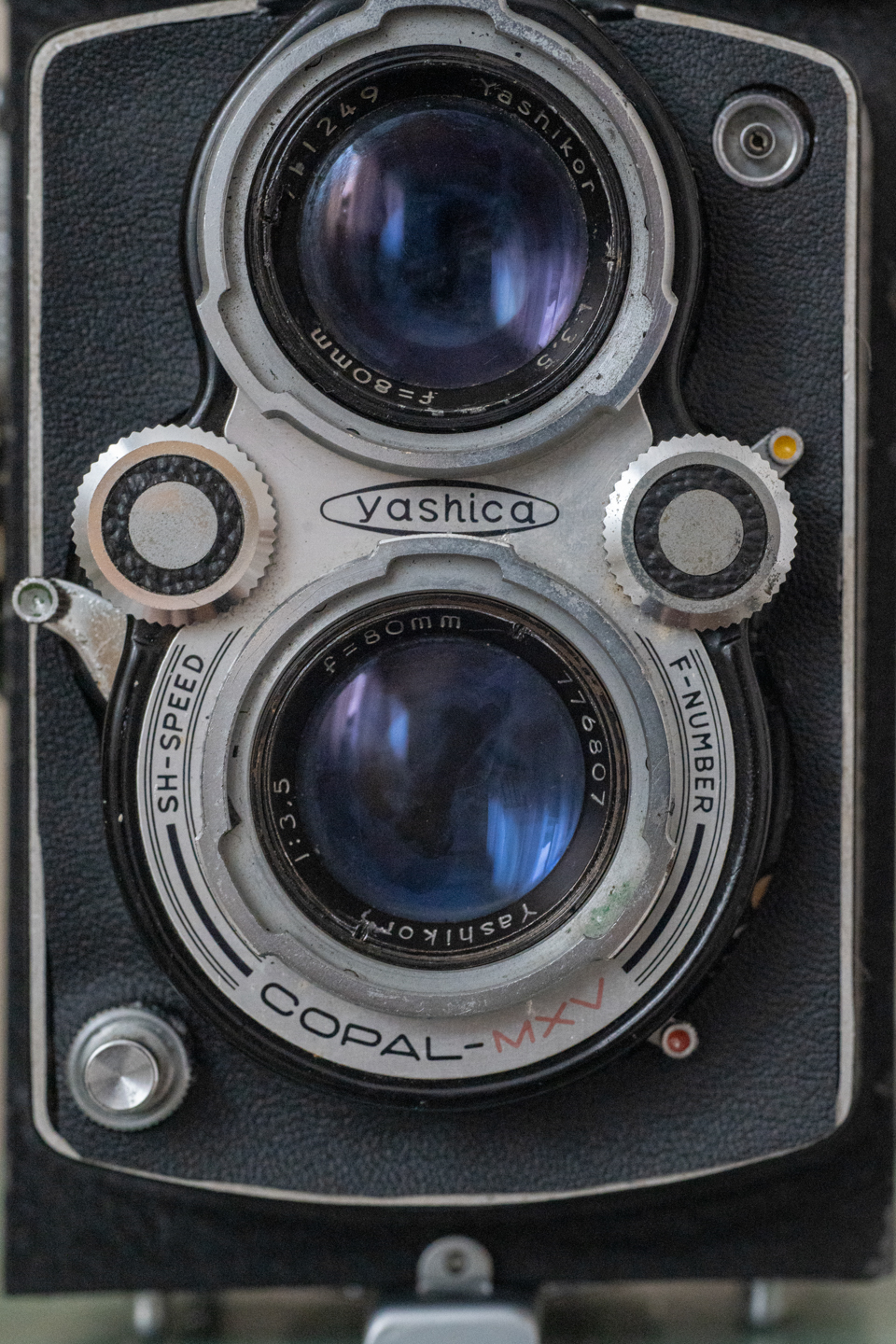 第4回フィルムカメラを始めよう！中判スタートに国産二眼レフはいかが
