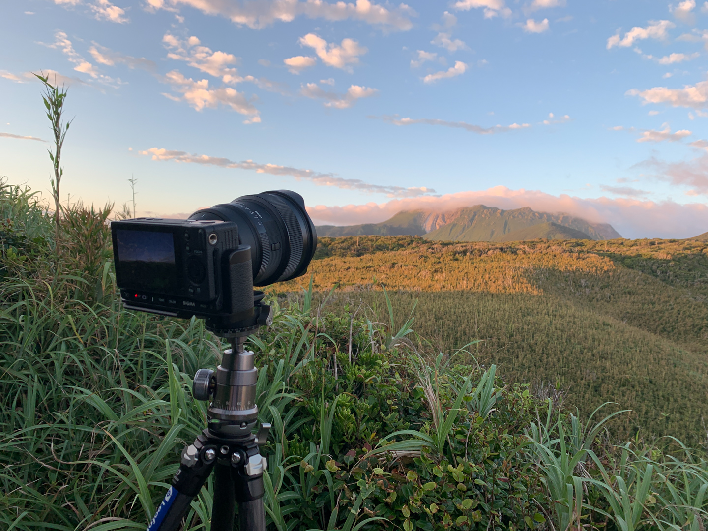 シグマ 14mm F1.4 DG DN Art レビュー｜究極の星景写真用レンズを星空