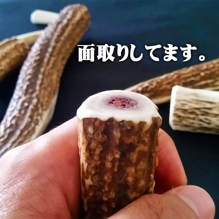 セール対象]【鹿角】おまかせ 枝角 14cm〜16cm 用途自由 ペット