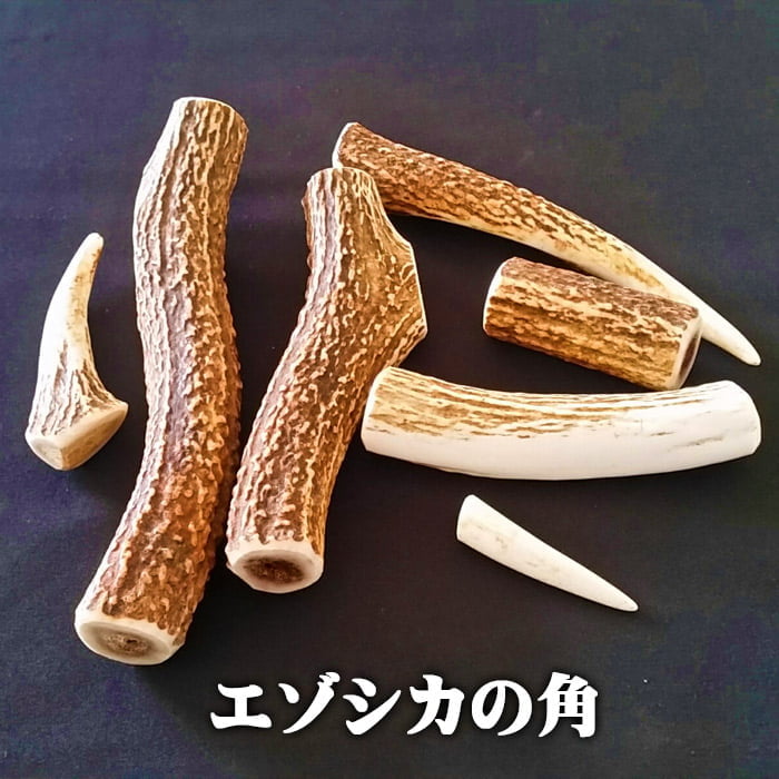 鹿角】おまかせ 枝角 9cm〜11cm 用途自由 ペットおもちゃ