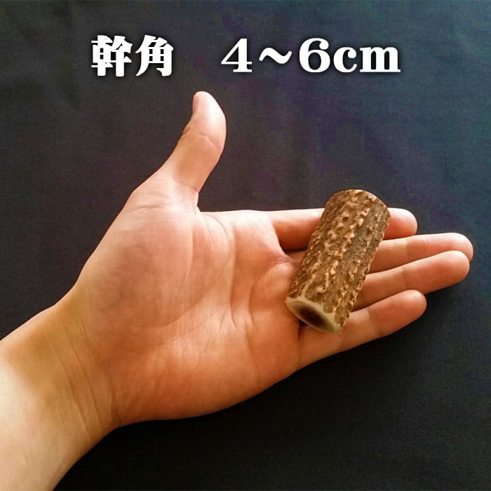 鹿角】おまかせ 幹角 4cm〜6cm 用途自由 ペットおもちゃ、アクセサリー