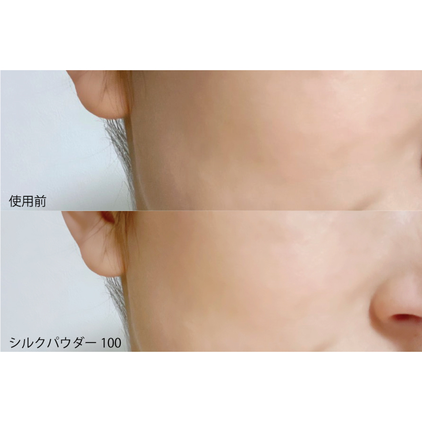 シルクパウダー100 北尾化粧品部 オンラインストア