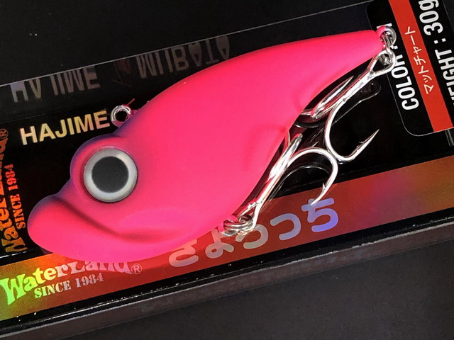 ウォーターランド（WaterLand） ぎょろっち 78mm/30g 【シーバスルアー