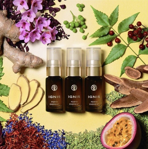 イグニス フォース エナジスト｜紹介記事｜キレイエ