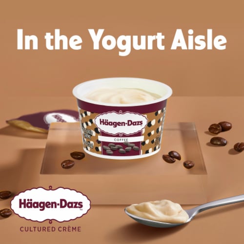 Haagen Dazs Coffee Cultured Crème Yogurt Style Snack, 4 oz - QFC