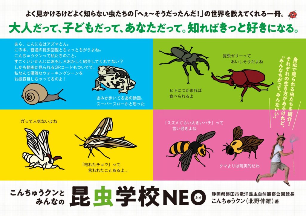 こんちゅうクンとみんなの昆虫学校NEO | くまふメディア制作事務所