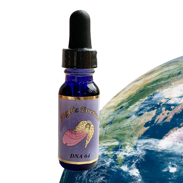 DNA64エッセンス 元氣で美しく幸せな暮らしを くらしのたのしみ 通販