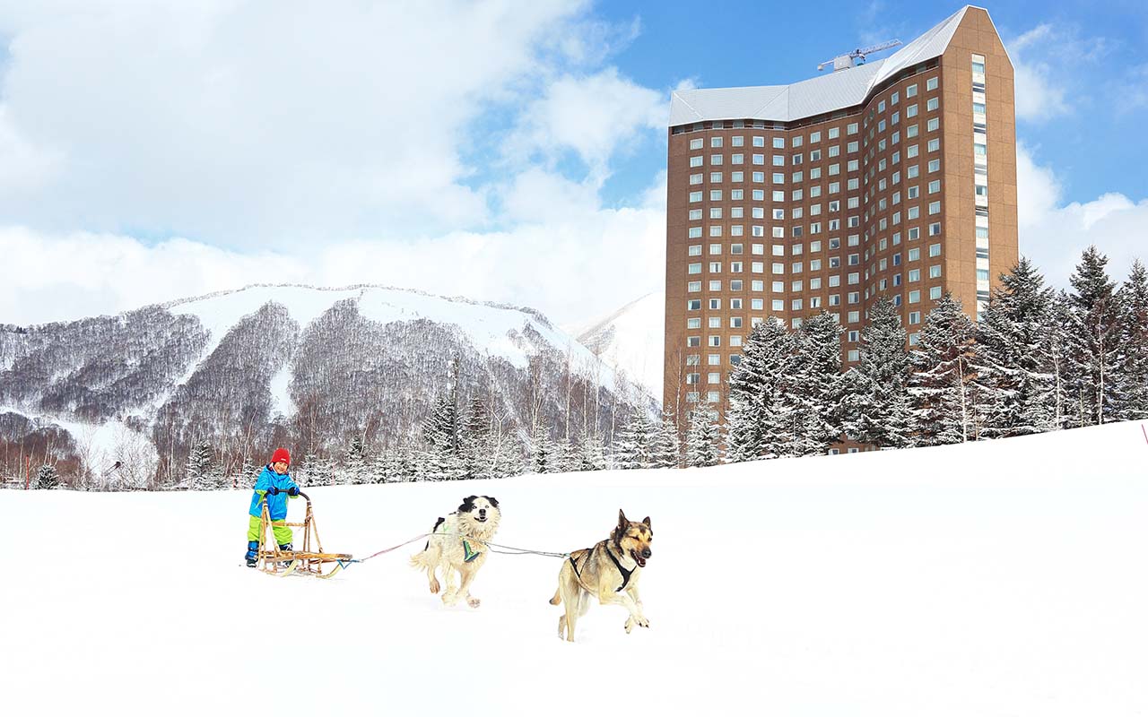 冬季限定】犬ぞり体験 | 【北海道】ルスツグランピング スノーポッド
