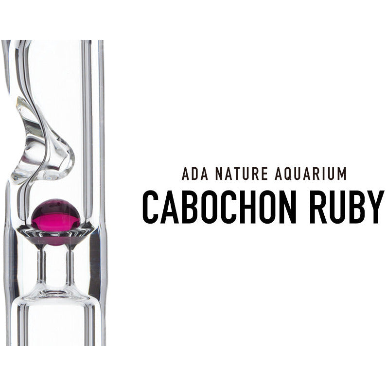 ADA Cabochon Ruby – horizon aquatics