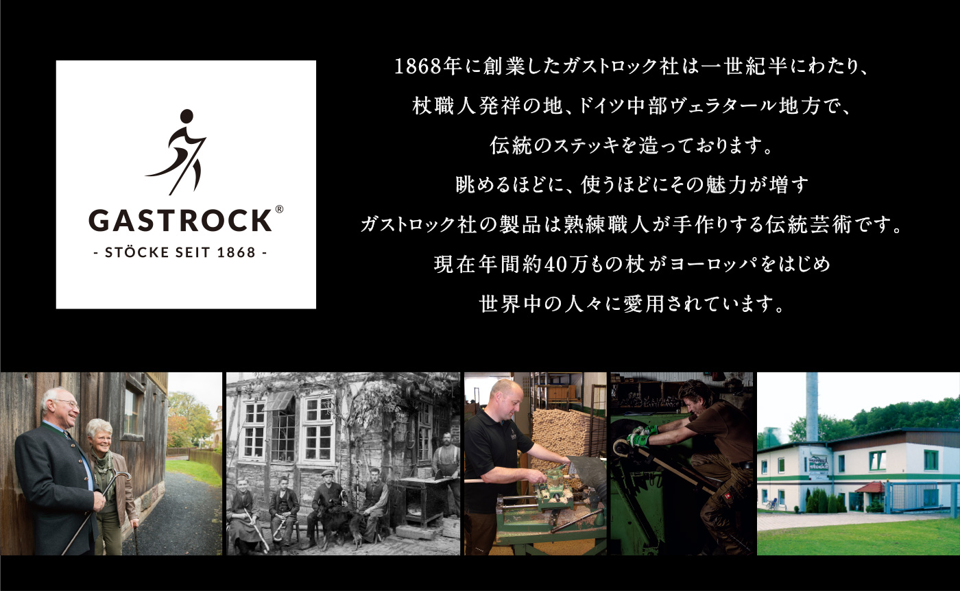 ガストロック｜杖 ステッキの製品紹介｜ケイ・ホスピア株式会社｜