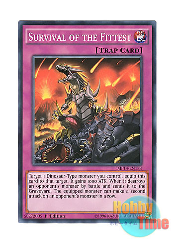適者生存 Survival of the Fittest 英語 MTG 適者生存/Survival of the
