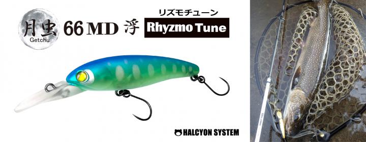 HAL HALCYON SYSTEM 月虫66MD AREA