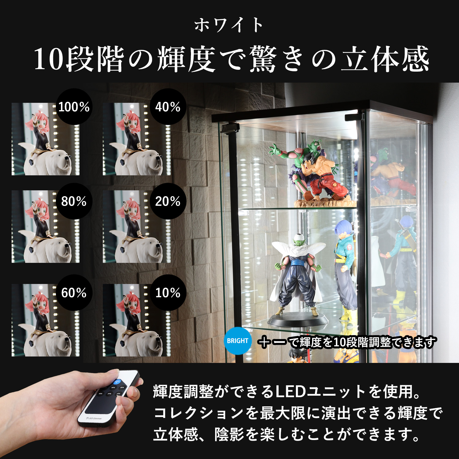 オプション] ガラスコレクションケースJONY ワイドハイタイプ（幅80cm