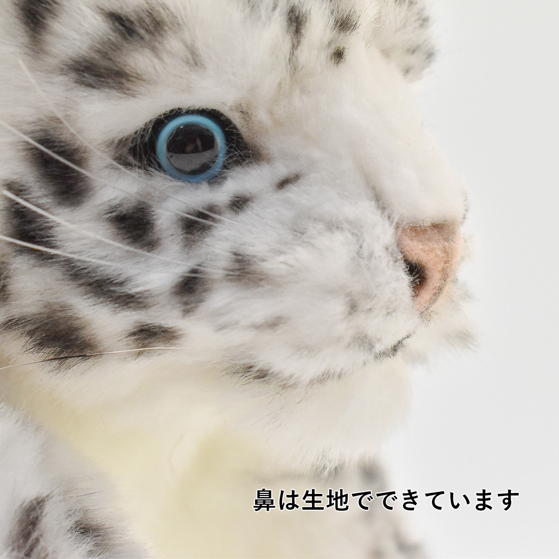 ユキヒョウ(仔) 29 | HANSA