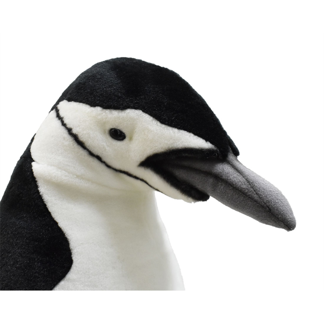 ヒゲペンギン 61 | HANSA