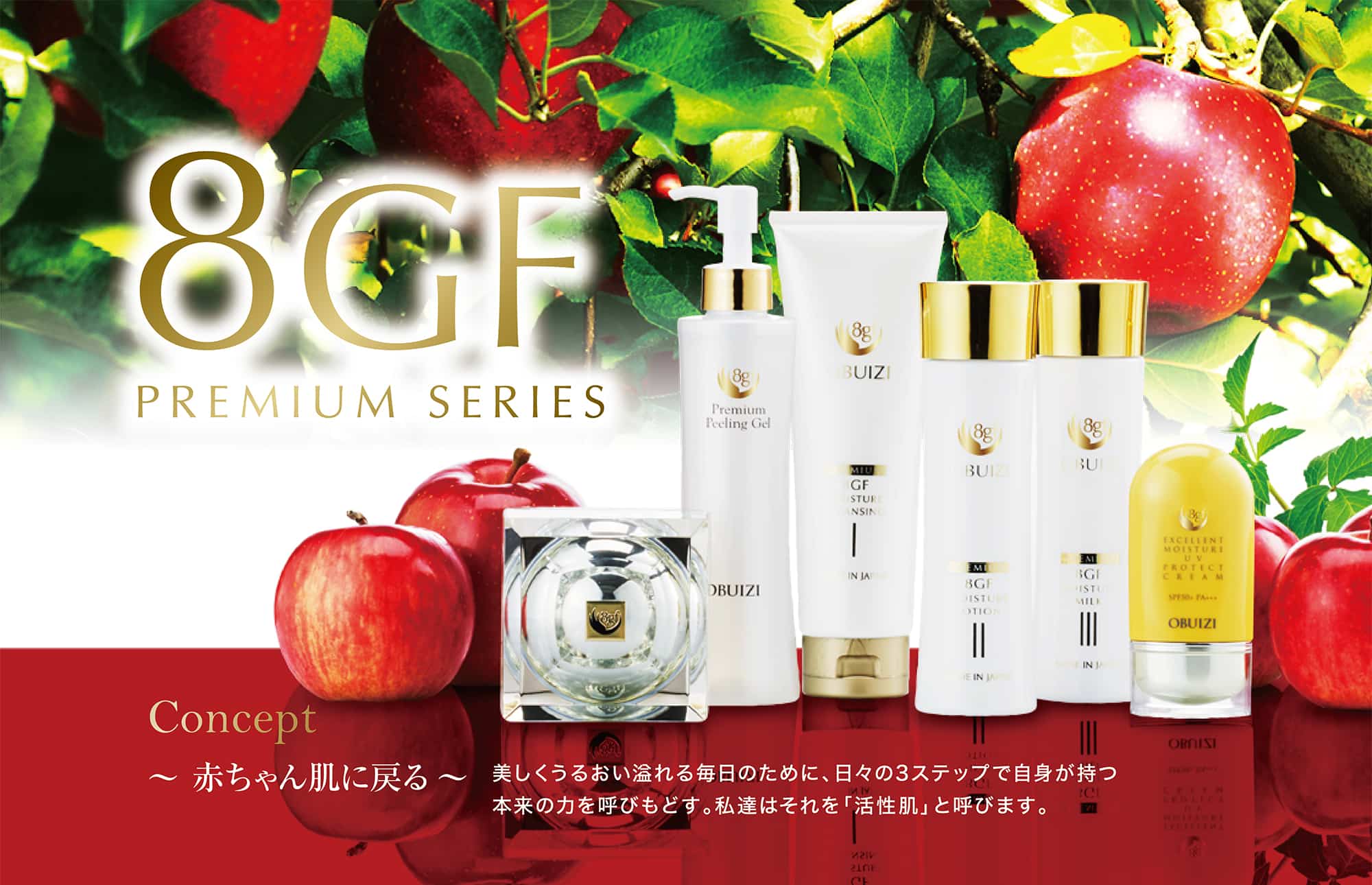 8gf-topimg.jpg