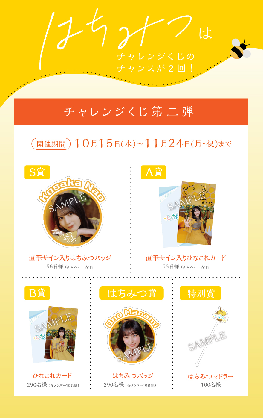 ひなこれ「レギュラー」に「2024年 ハロ | FCニュース | 日向坂46