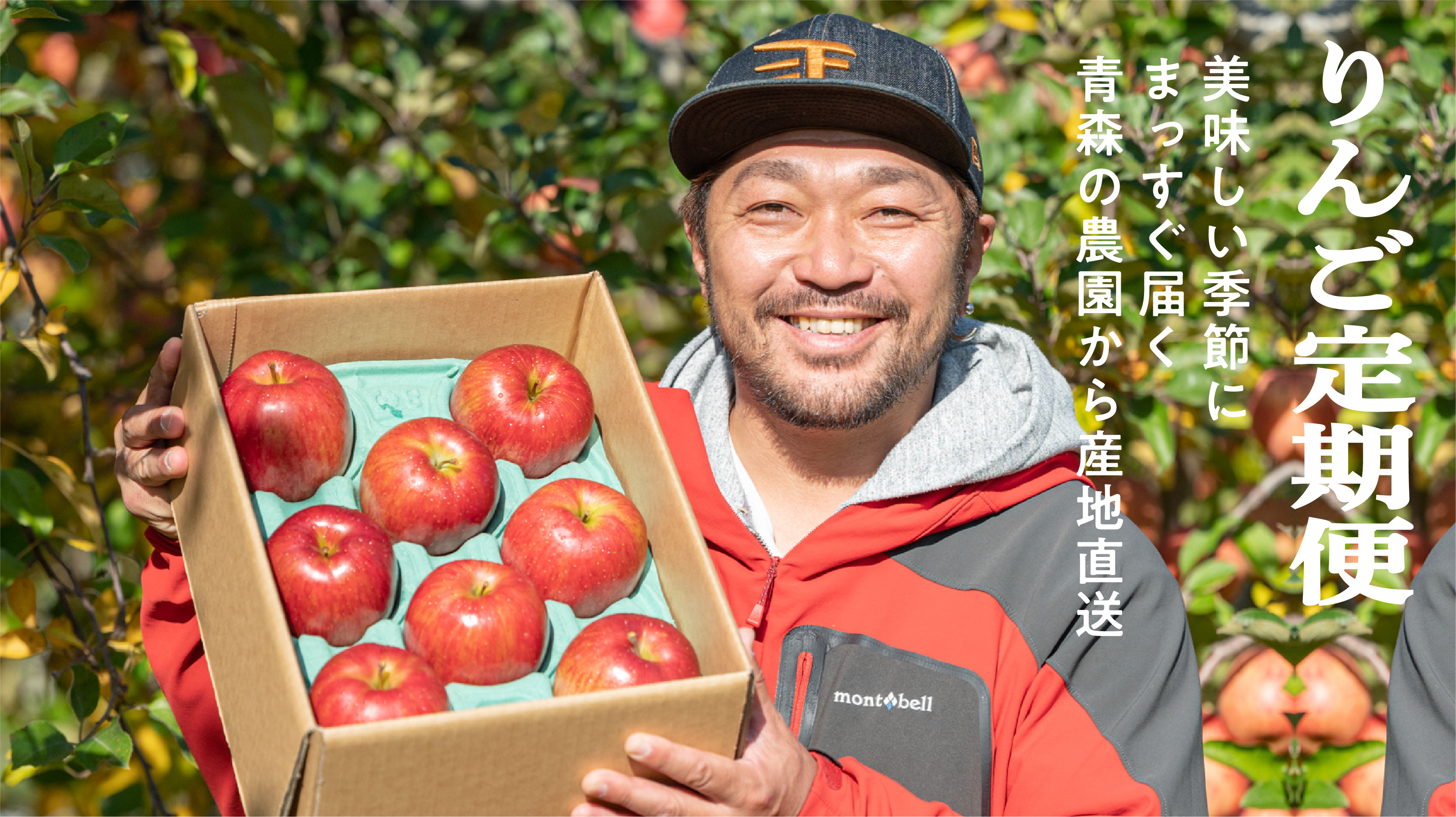 青森りんご定期便 4.5kg 隔月6回コース | 産地直送通販 | 青森りんご