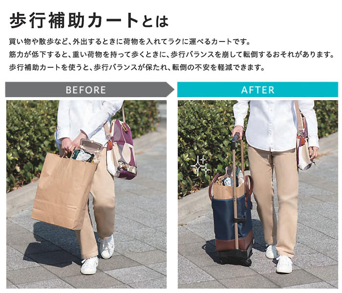 幸和製作所】おとなりカート ブレーキ付トートタイプ WCC04 | 格安通販