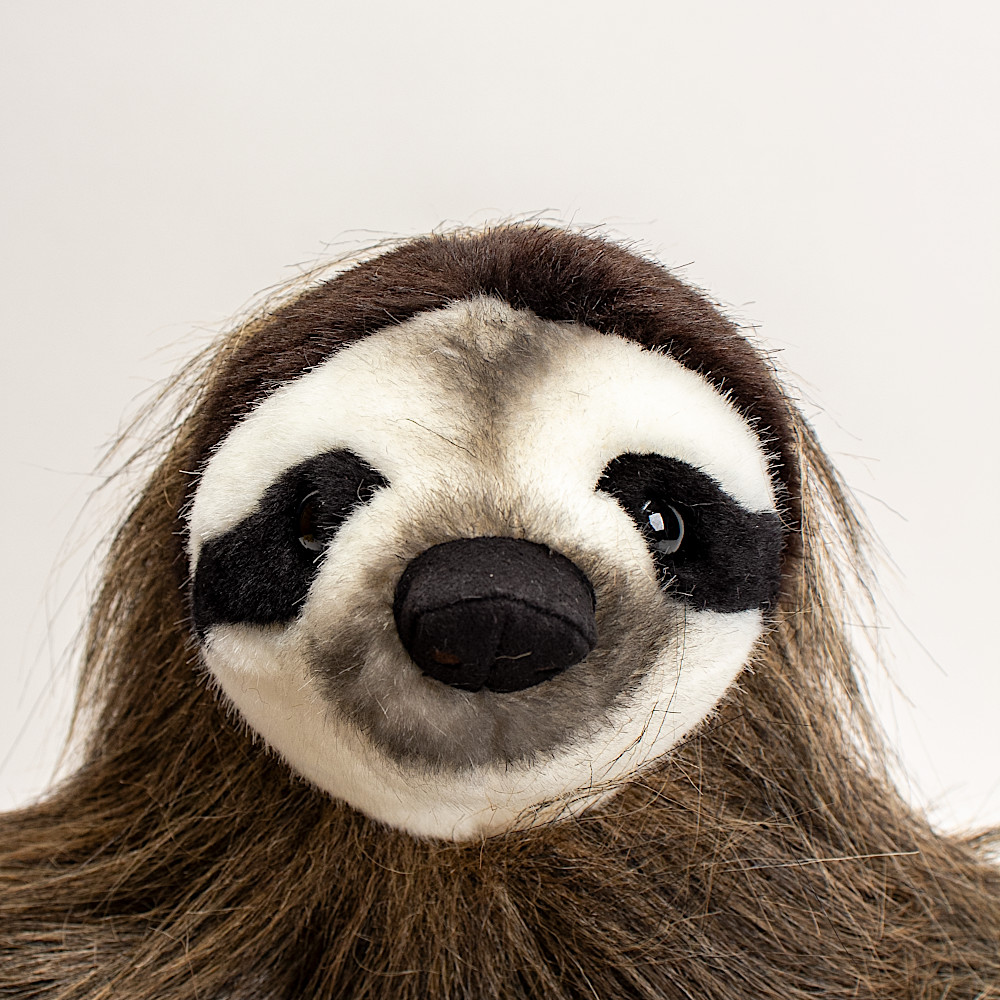 6550 なまけもの：おもちゃ：百町森