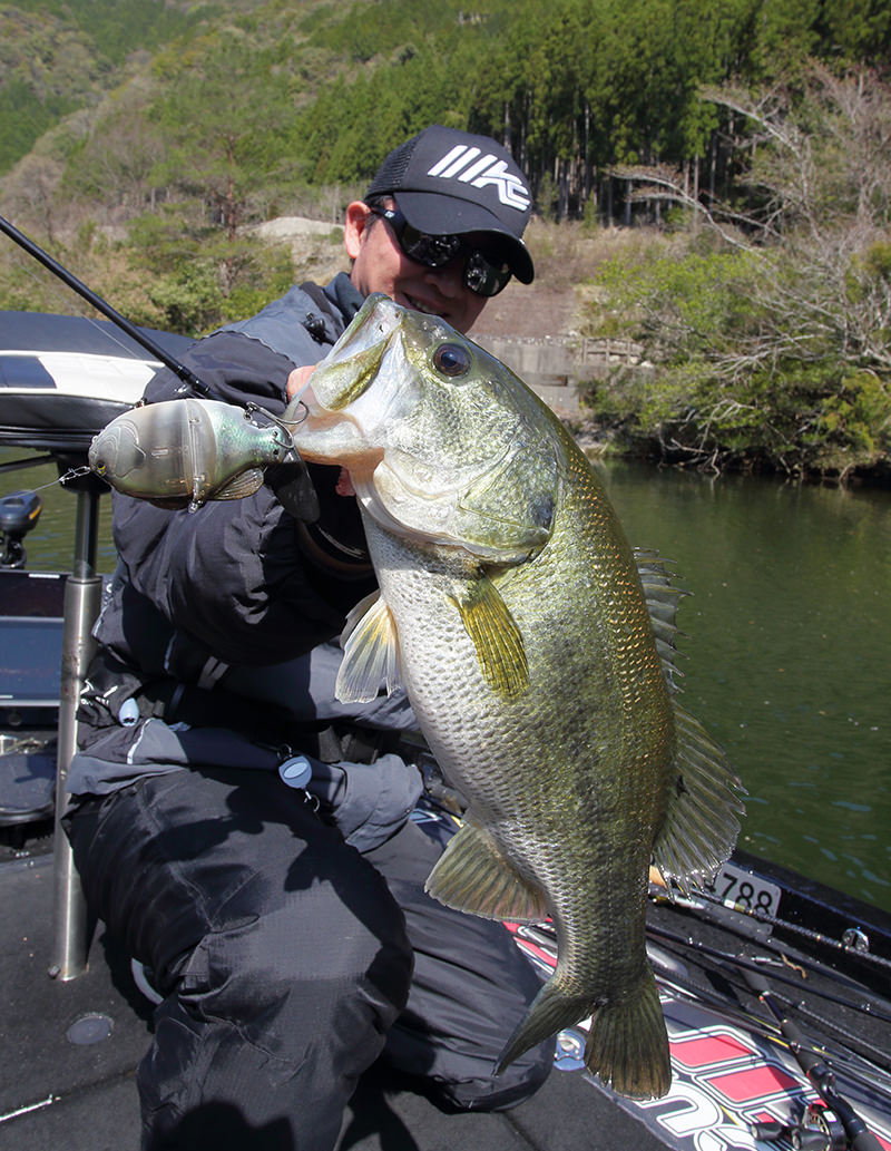 GillroidBaby | IMAKATSU