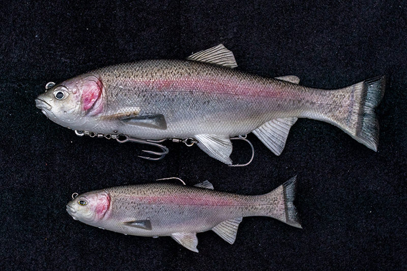 Lazy Swimmer 9inch | IMAKATSU