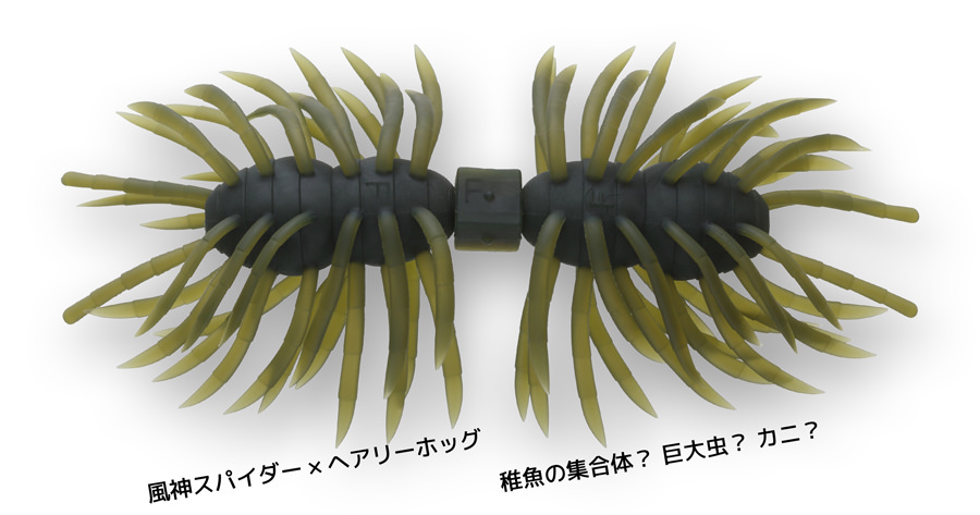 Hairy Spider Kujala | IMAKATSU