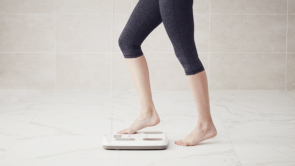 公式】InBody Dial H20