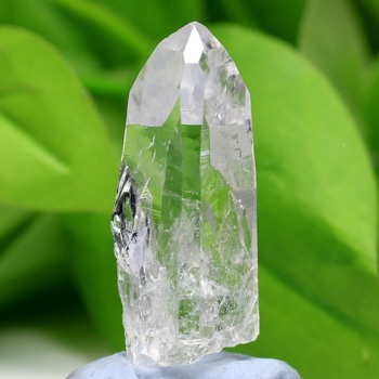 COLEMU-NP0140IS-350x350.jpg