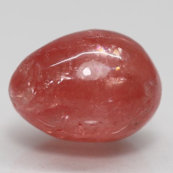 INCA-EG0104IS-350x350.jpg
