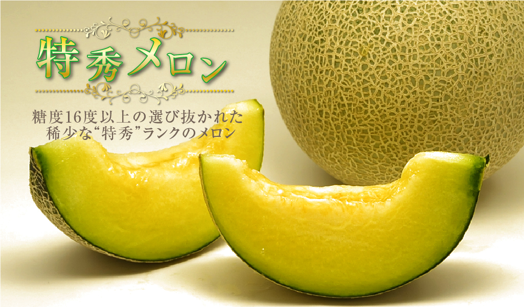 特集 JA茨城旭村の「特秀メロン」 | 旬のうまいもの特集 | 茨城をたべ