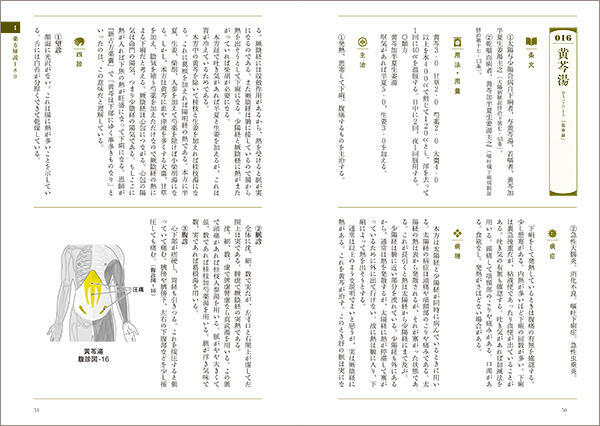漢方主治症総覧【パソコンやスマホで読める電子版書籍】 | 医道の日本